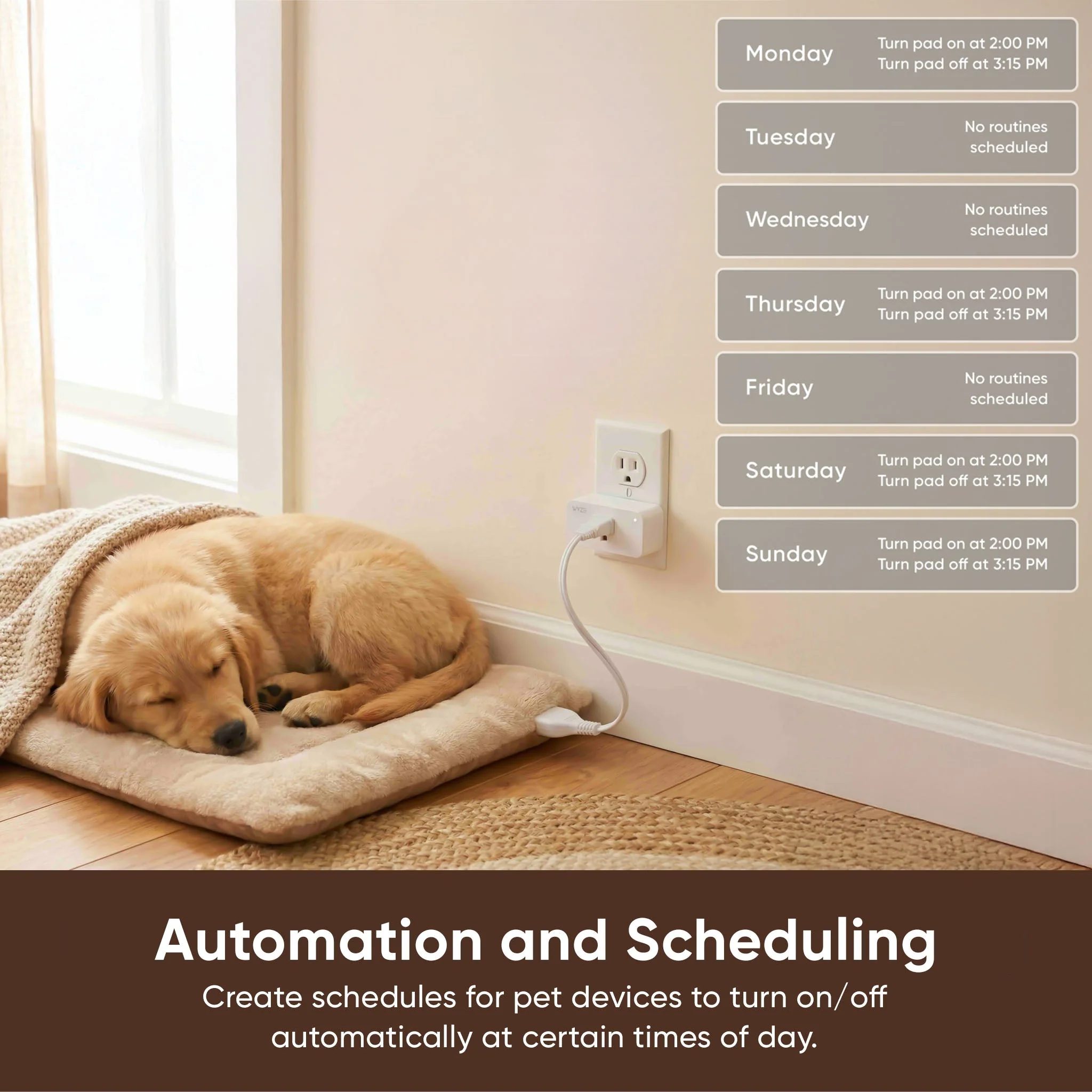 Pet Monitoring Plus - Image 9