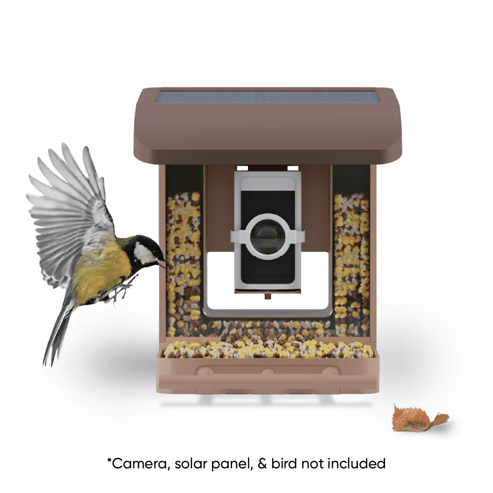 Wyze Bird Feeder - Image 10