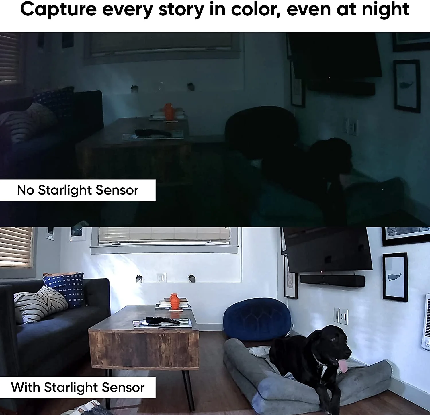 Wyze Cam Pan v2 - Image 3