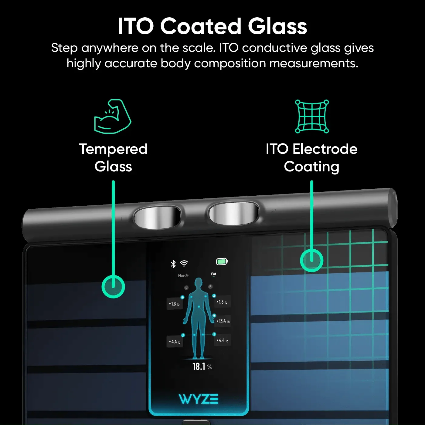 Wyze Scale Ultra BodyScan - Image 15